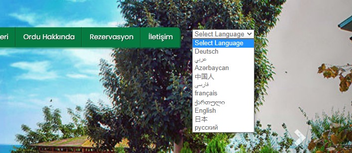 Google Website Translate - Dillerin Görünen Yazılarını Değiştirmek
